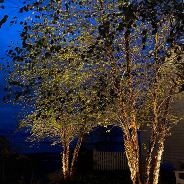 Oceanside Landscape Lighting