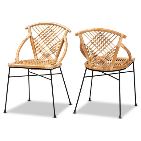 Merlyn Modern Rattan and Metal Dining Chairs, Set of 2