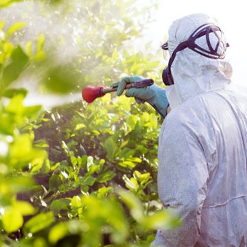 Pesticide Control In Karachi
