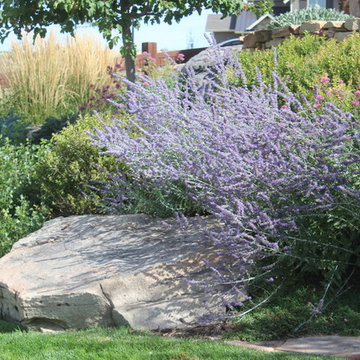 Landscape Projects