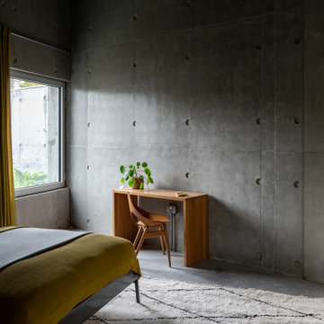 Lewes Concrete House