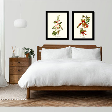 Audubon Bird Prints