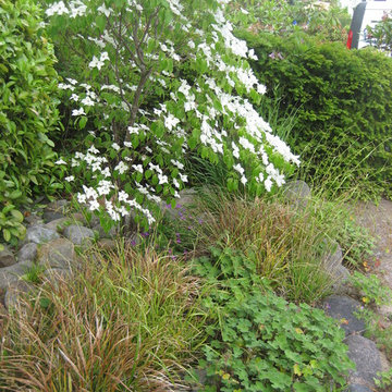 Vorgarten nach der Umgestaltung