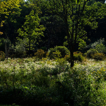 Food Foraging Meadow