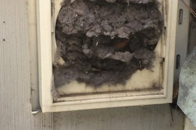 Clogged Dryer Vent (Before & After)
