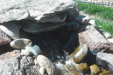 Design ideas for a landscaping in Denver.