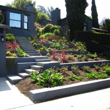 Front Landscaping Ideas