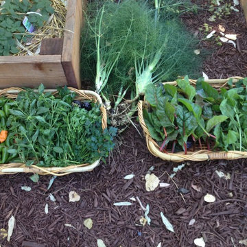 ebay, inc. Corporate Vegetable Garden Installation & Employee Garden Education