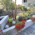 Modern Succulent Garden - Contemporary - Landscape - San Francisco - by