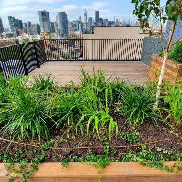 Ipe Roofdeck Condo Common Area Long Island City, NY