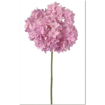 Acrylic Picture of Pink Flower Hydrangea - Multi, 60X40