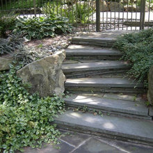 Landscape Ideas