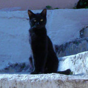 Michaela Wagner's photo