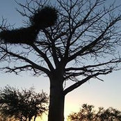 Jeanne-Marie Vandenberg's photo