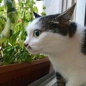 Hilde von Leidel's photo