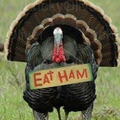 Denice Holman Williams's photo