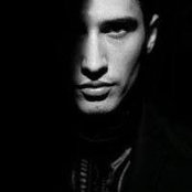 Janis Rose's photo