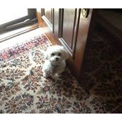 Michael Bond's photo