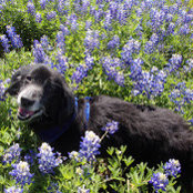 Kim Green's photo