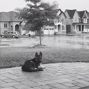 Brett Irwin's photo
