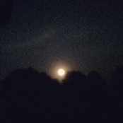 Revis Pernell's photo