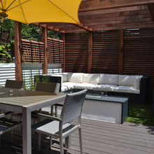 Landscape/Backyard