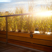 Landscape Ideas
