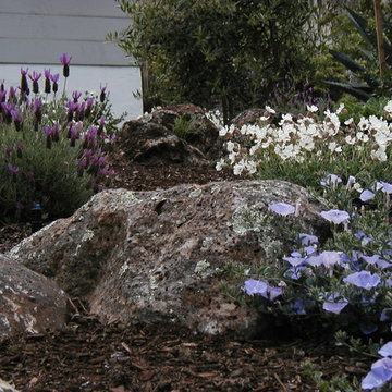 Broadway Terrace Hillside