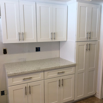 White shaker kitchen cabinets with Sparking white quartz countertops