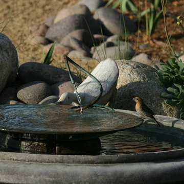 Solana Beach Sustainable Landscape and Bird Sanctuary