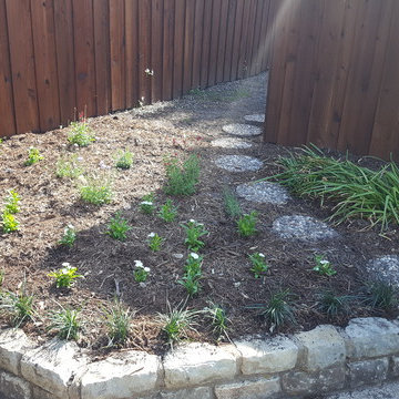 Front Yard Clean-up + Sunny Backyard Design