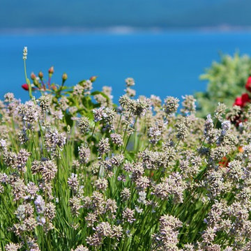 Anacortes Wa backyard