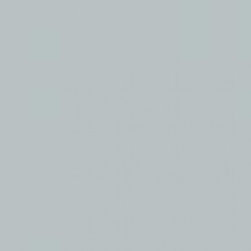 Benjamin Moore Wales Gray 1585 - Paint