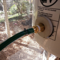 Automatic Gravity Fed Rainwater Harvesting Chicken Watering System - Products