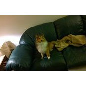 Wayne Wellmon's photo