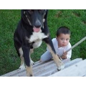 Lisa Penner-Dang's photo