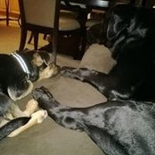 Ed Martin's photo