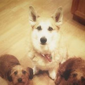 Karla Bourgeois's photo