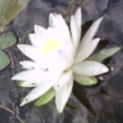 Kate Peterson's photo