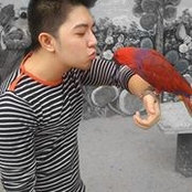 Arjay Nicdaoさんの写真