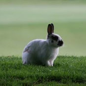 Caralee Stevens's photo