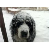 Julie Leonard's photo