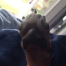 KT's photo