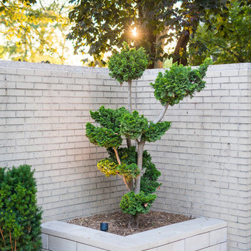 Mid-Century Modern Courtyard