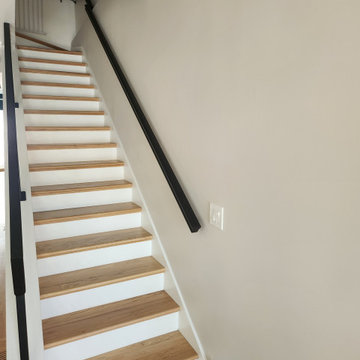Lincoln Park Chicago. House painting