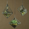 Diamond Gem Shape Hanging Glass Vase Terrarium, Ornament Display Case