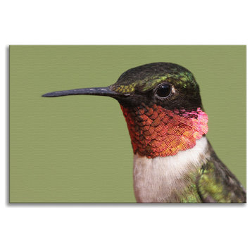 Close-up Ruby-throated Hummingbird Wildlife Photograph Canvas Wall Art Print, 12" X 16"