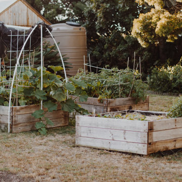 Harvest Edible Garden Inspiration