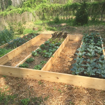 Vegetable gardens