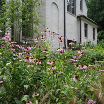 Pollinator Garden McLean, Va